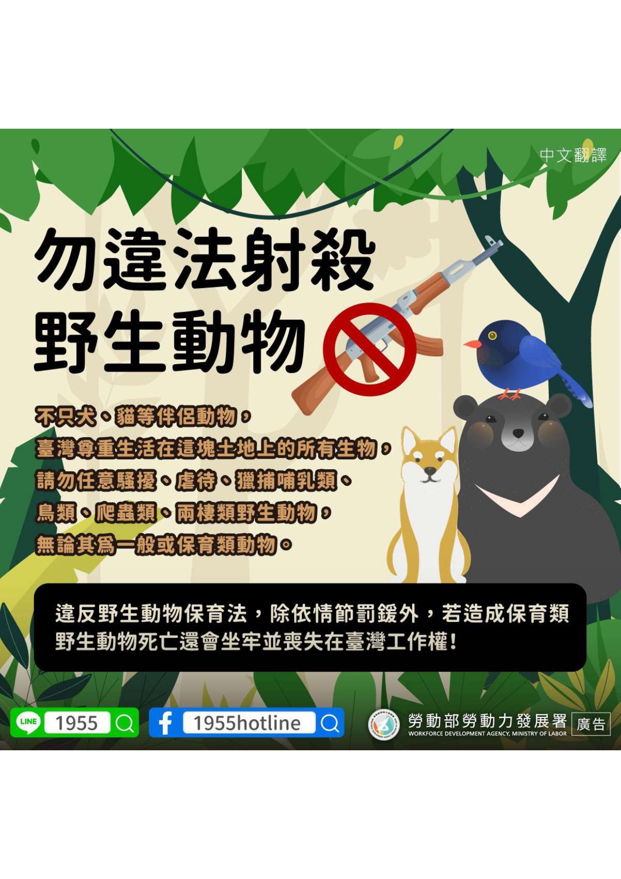 勿違法射殺野生動物 (1).jpg