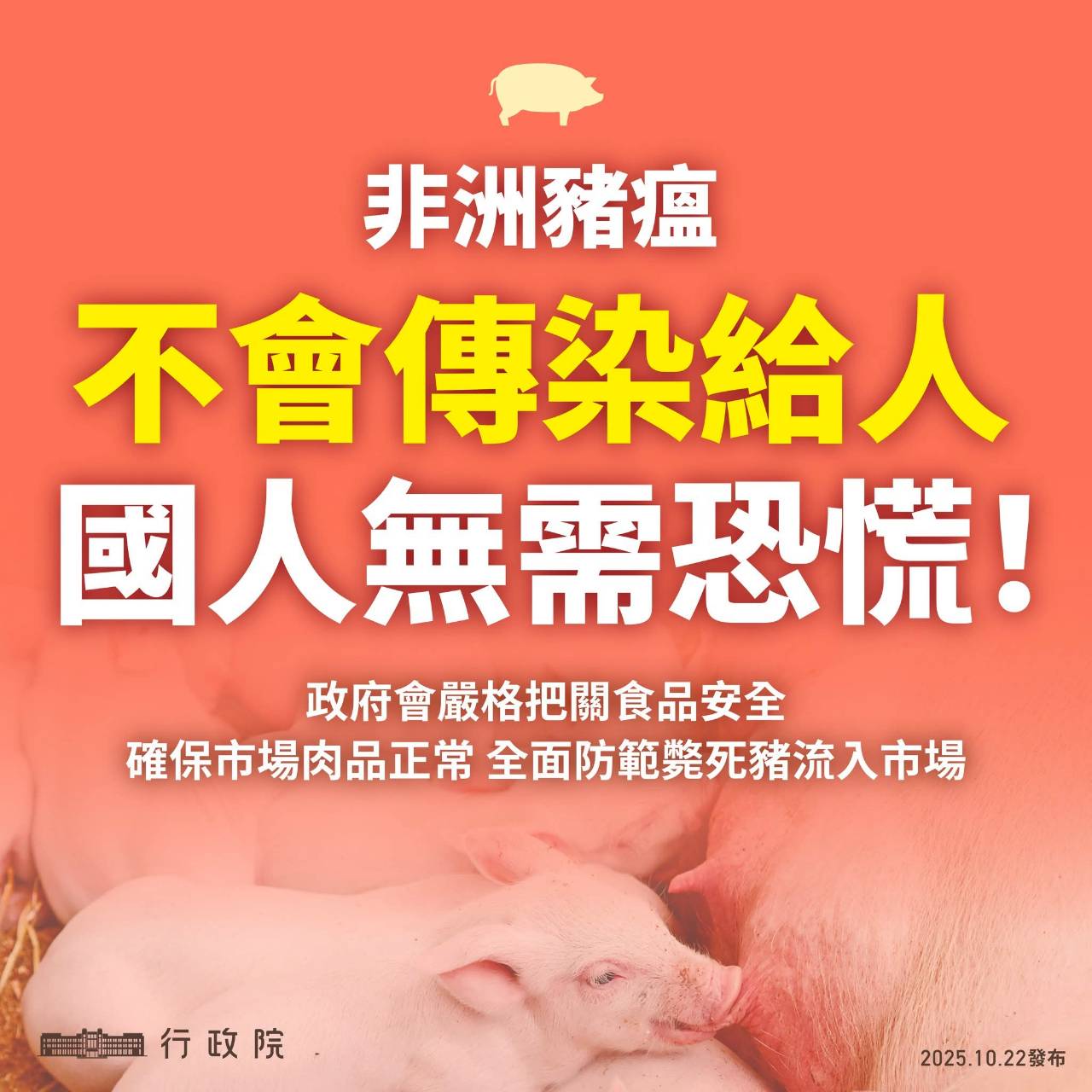 非洲豬瘟不會傳染給人無須恐慌